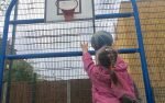 Net some great action with One Goal at half-term